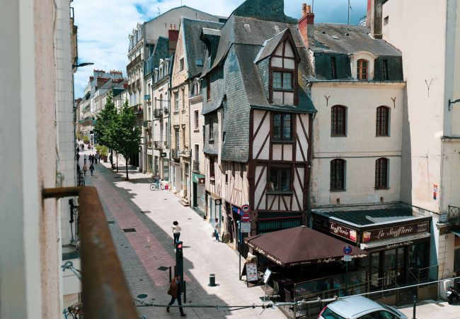 Studio à Angers - Grand studio cœur de ville d'Angers - 2 personnes Studio à Angers - Grand studio cœur de ville d'Angers - 2 personnes