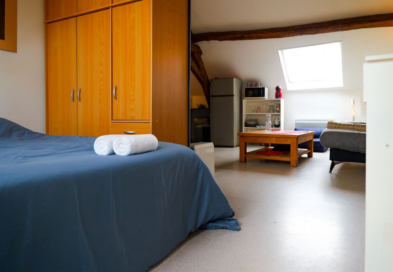 Studio à Angers - studio 2/3 personnes - quartier UCO 