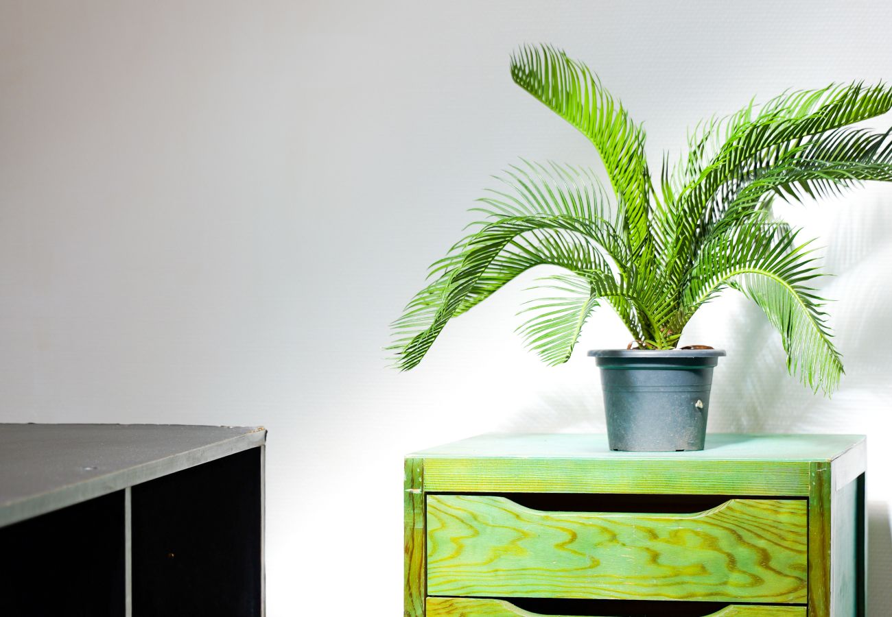 Studio à Angers - studio 2/3 personnes - quartier UCO 